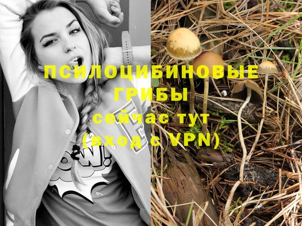 прущая мука Анжеро-Судженск