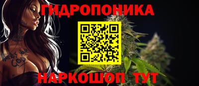 хмурый Берёзовский