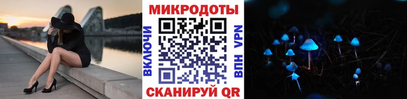 Галлюциногенные грибы Psilocybine cubensis Ставрополь