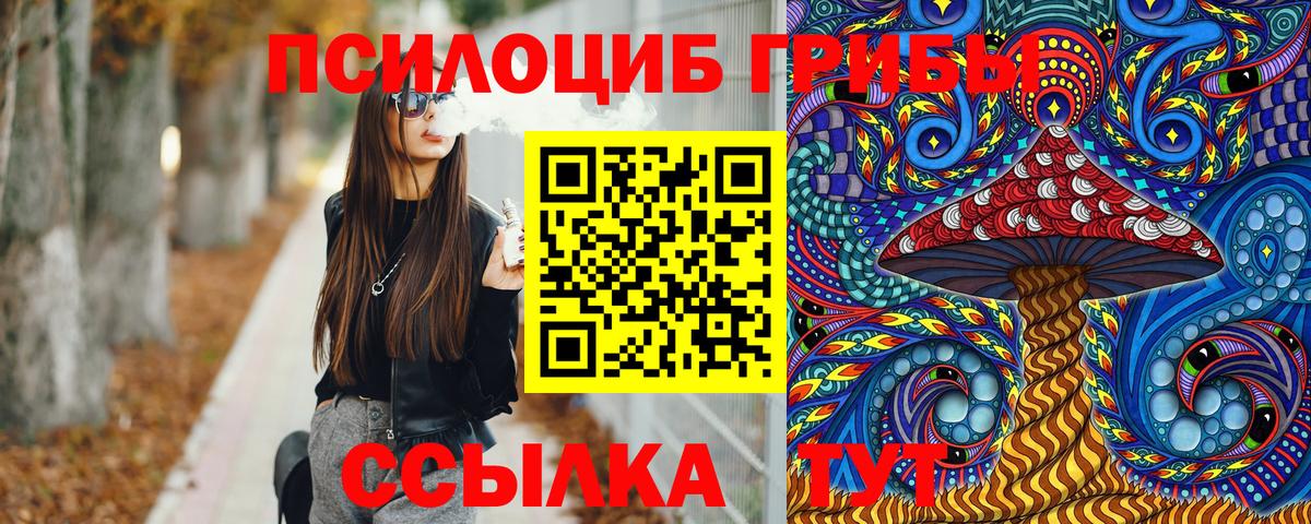 Псилоцибиновые грибы Psilocybe Ставрополь
