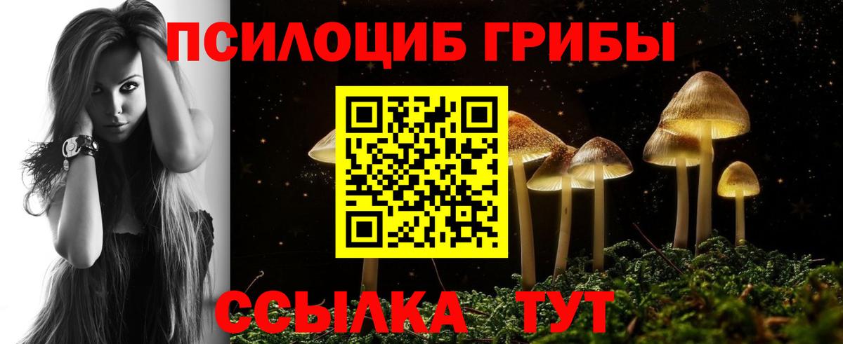 Галлюциногенные грибы GOLDEN TEACHER  хочу   Ставрополь  Вход с VPN  Галлюциногенные грибы MAGIC MUSHROOMS 