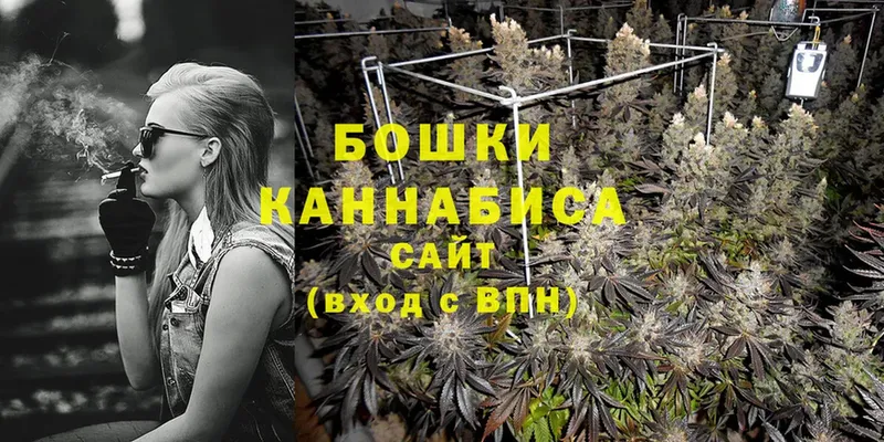 как найти   Ставрополь  Каннабис Ganja 